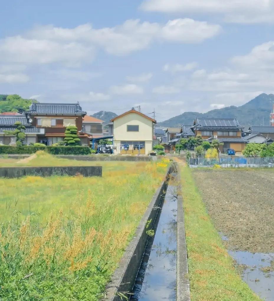 #秋日生活打卡季#东北家乡那座城，当我沐浴着秋日的晨曦中缓缓醒来，推开窗户，让清