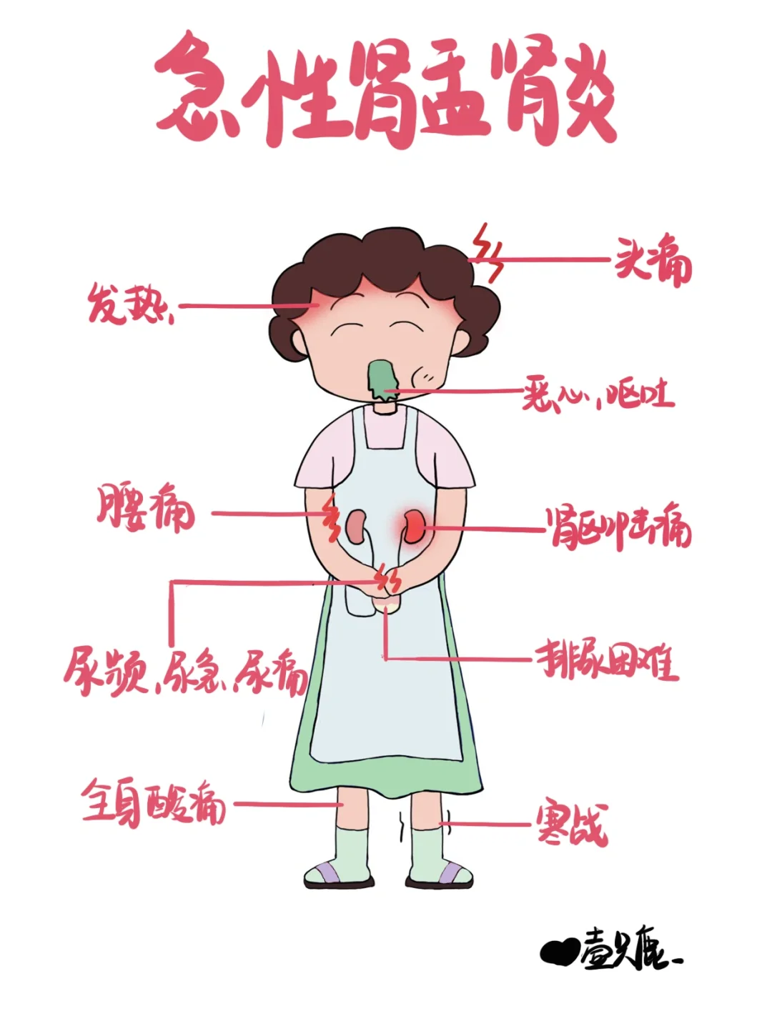 医学生笔记📒｜急性肾盂肾炎🧐