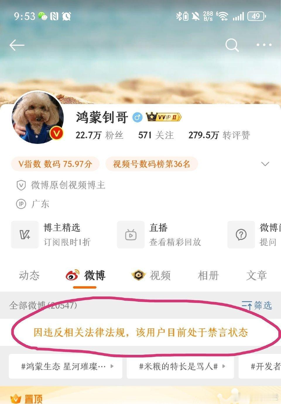 #鸿蒙钊哥#这也算是求锤得锤了！ ​​​