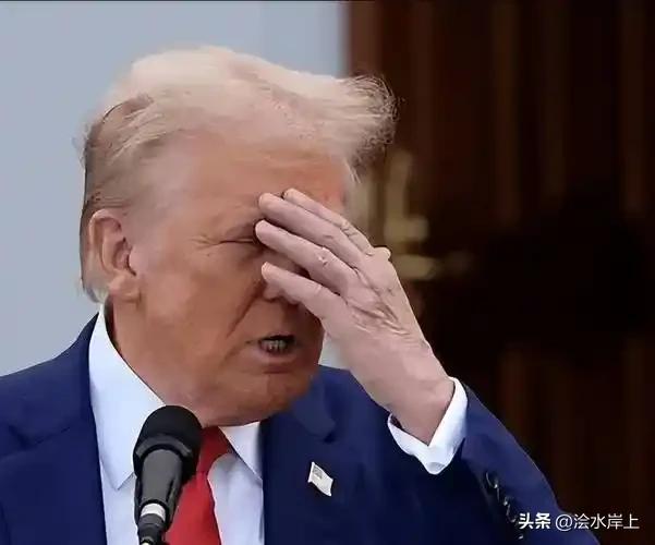 48小时“最后通牒”让世界“神经紧绷”，结果特朗普找到没“行动”的理由：伊朗有人