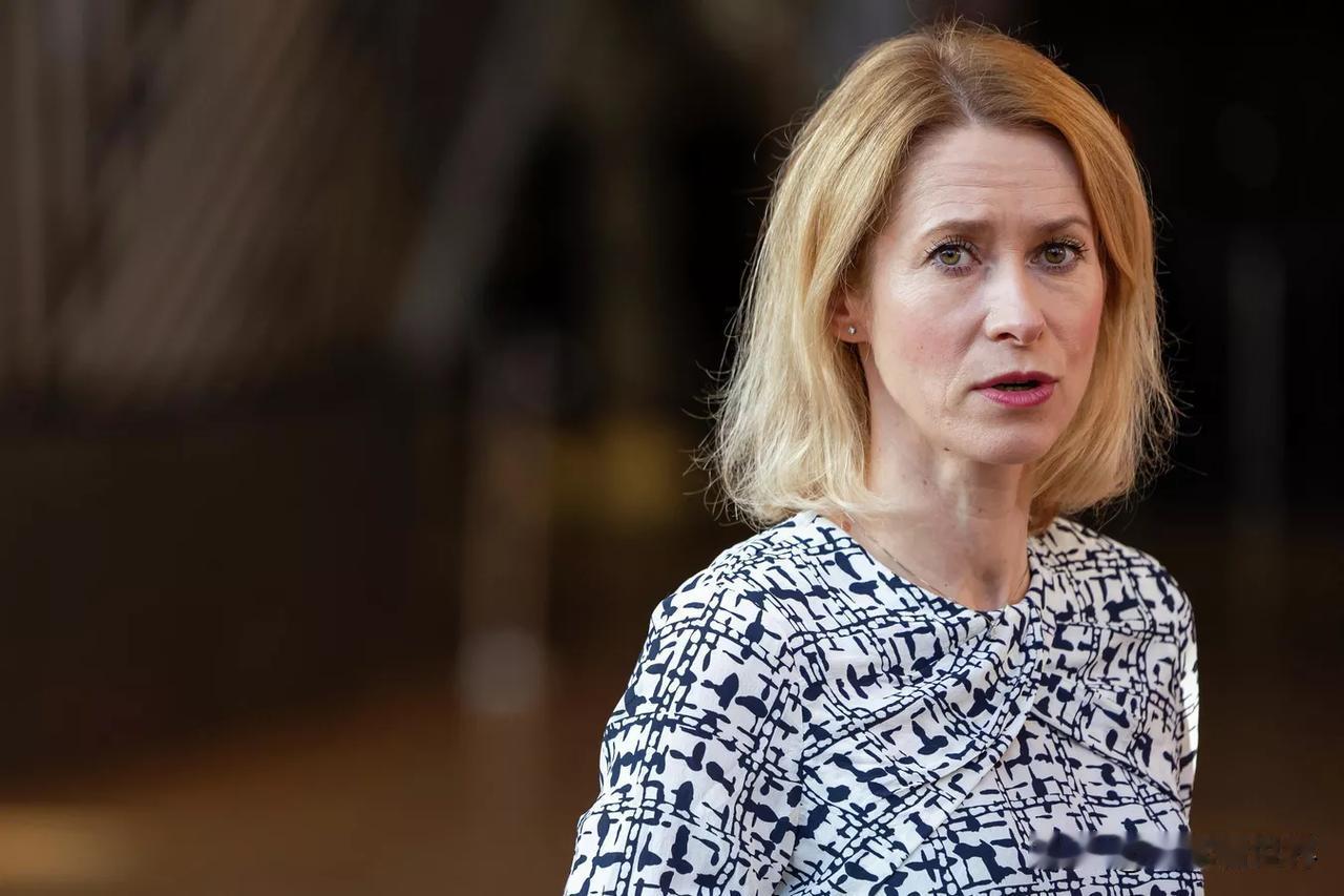 【欧盟外交负责人：2025年向乌克兰提供了价值270亿欧元的武器】
布鲁塞尔时间