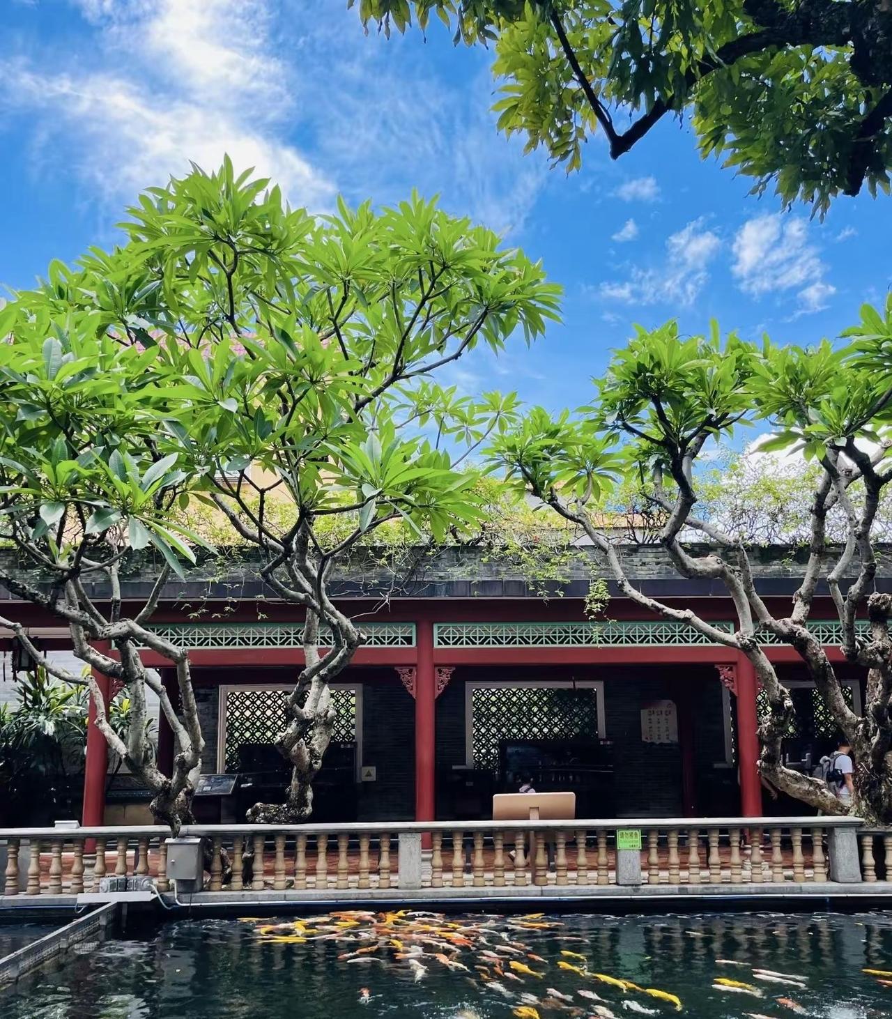 宝墨园 宝墨园 广州旅游攻略 周边游 遛娃好去处