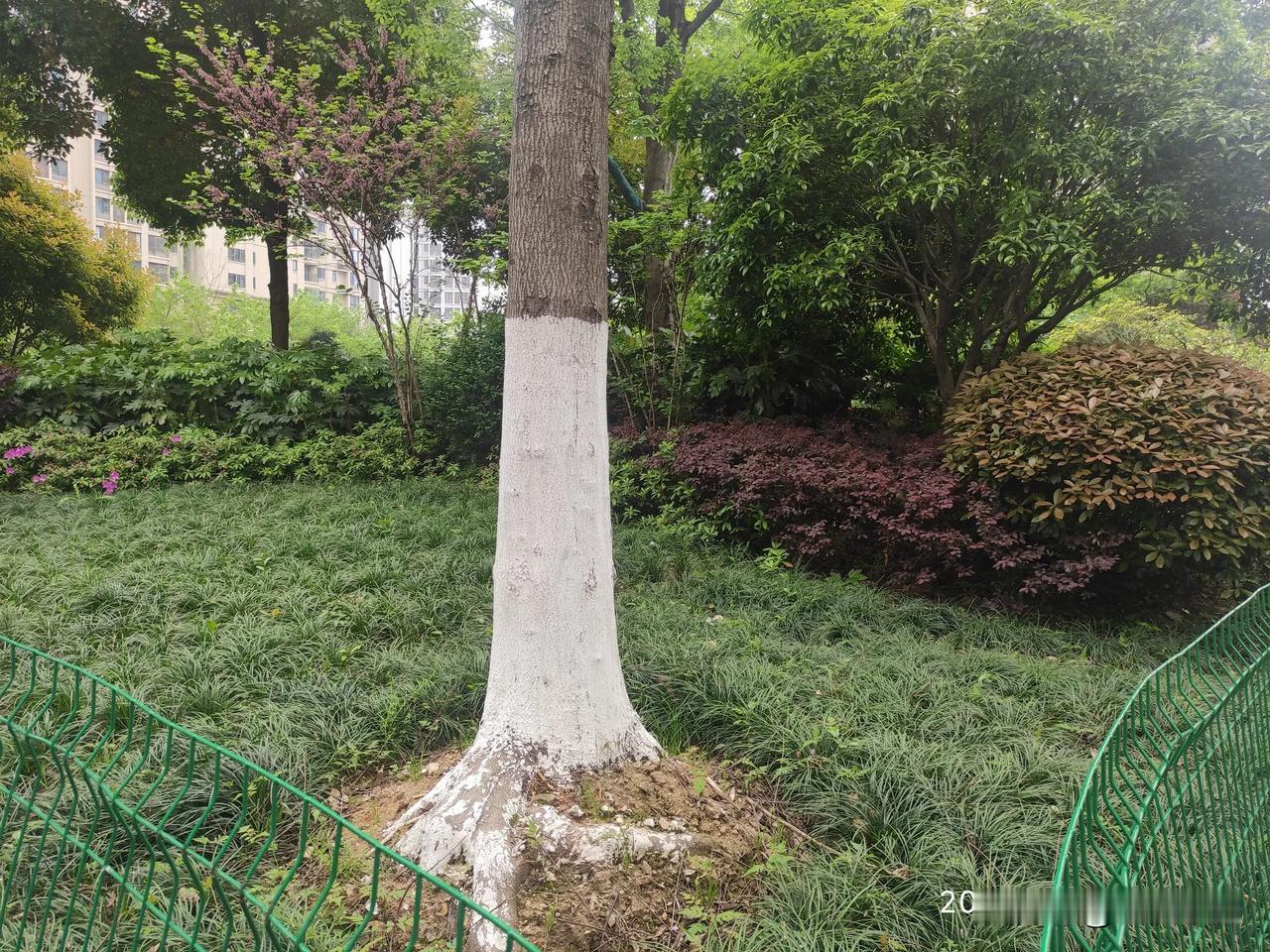 一定不要使劲折腾自己，该停下来一定要停下来，休养生息。

一定不要使劲折腾自己，