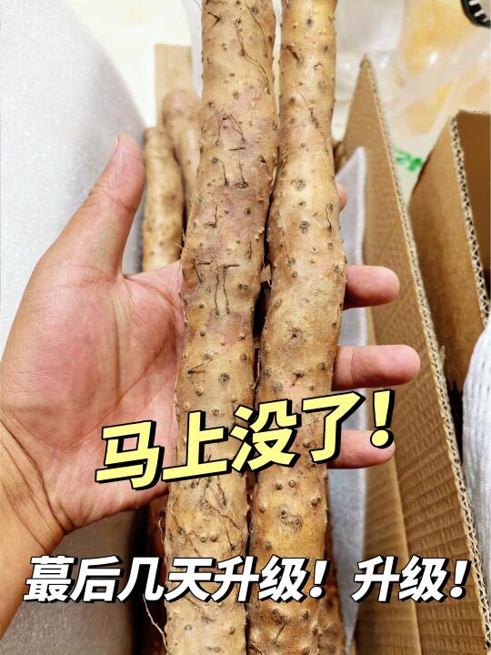 这么便宜的新鲜粉糯怀山药，可惜只剩几天了