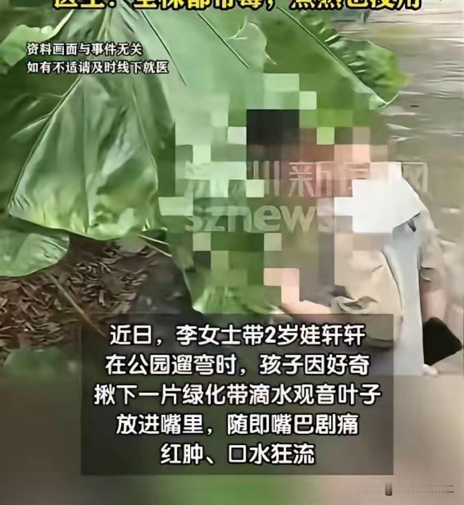 真没想到，带娃去公园溜达，竟成了“排雷”现场。

5月30日，深圳有个2岁宝宝，