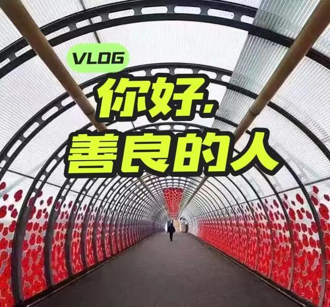你好，善良的人。在搞一种很新的旅行vlog 第一次看展当然要记录 我用摄影看世界