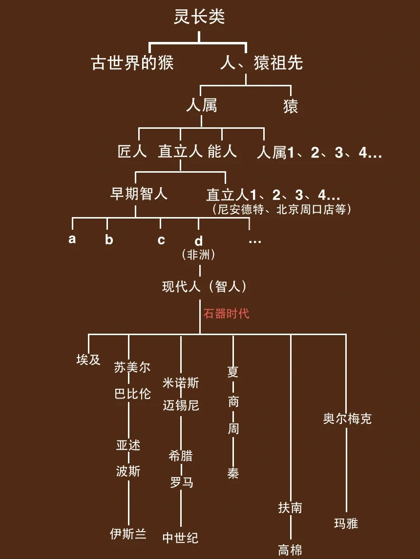 10分钟带你看懂人类进化简史！