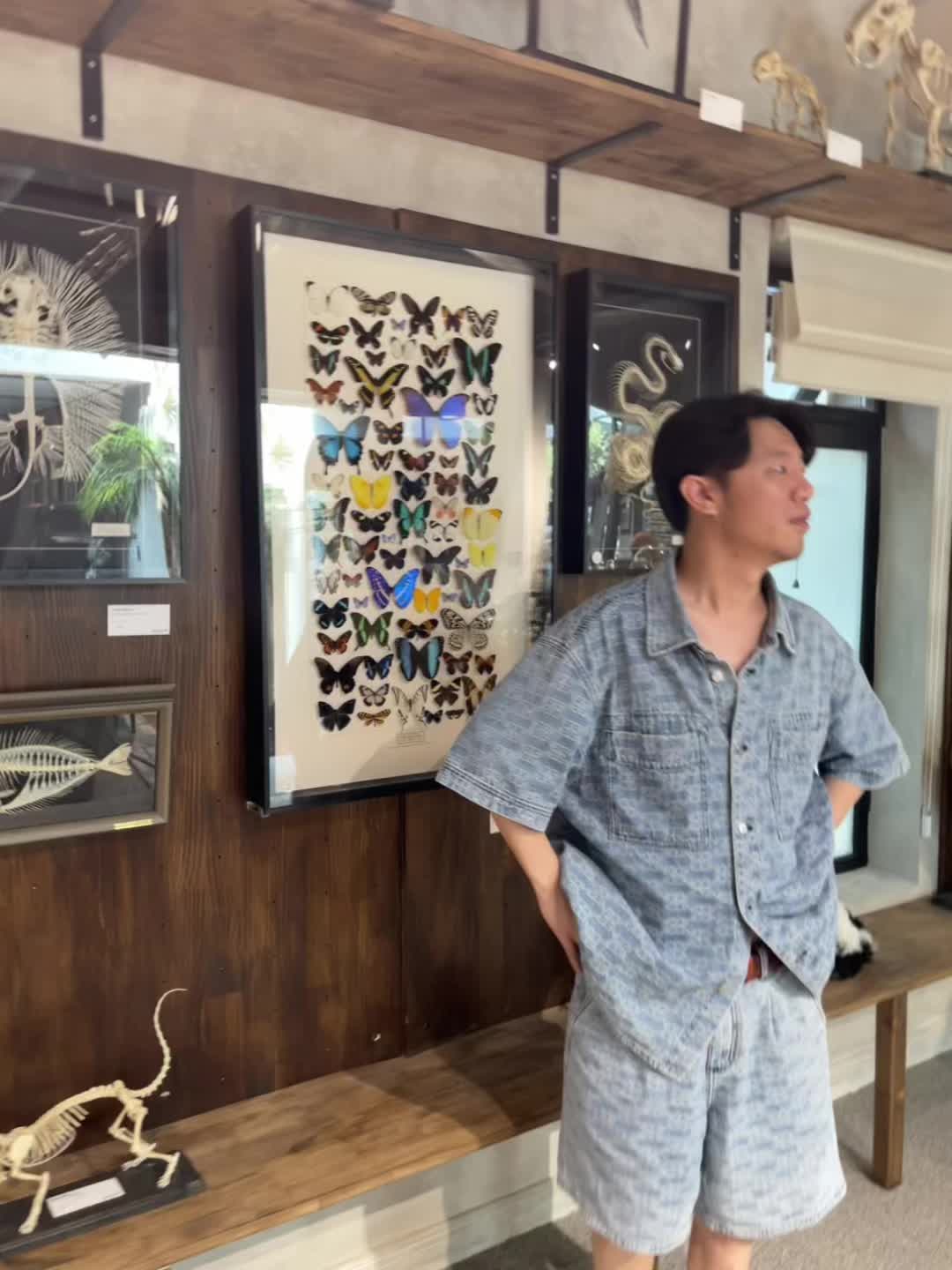 一年四季我手机里做正常人类的时候…… 在演员这条路上 我依然脚步坚定目...