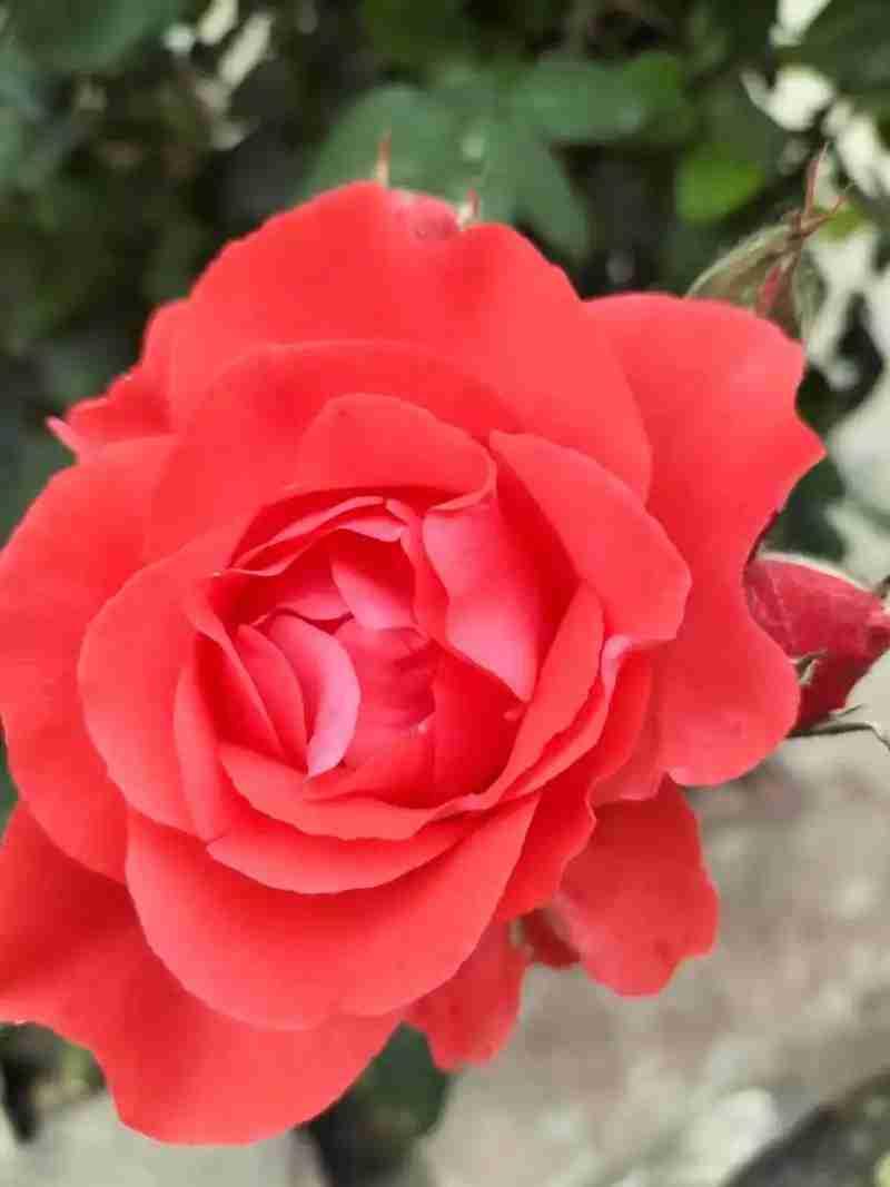 我的今日状态：💰期待暴富
我这里的天气：🌤️多云
人生诺言
 
诺言是心底的