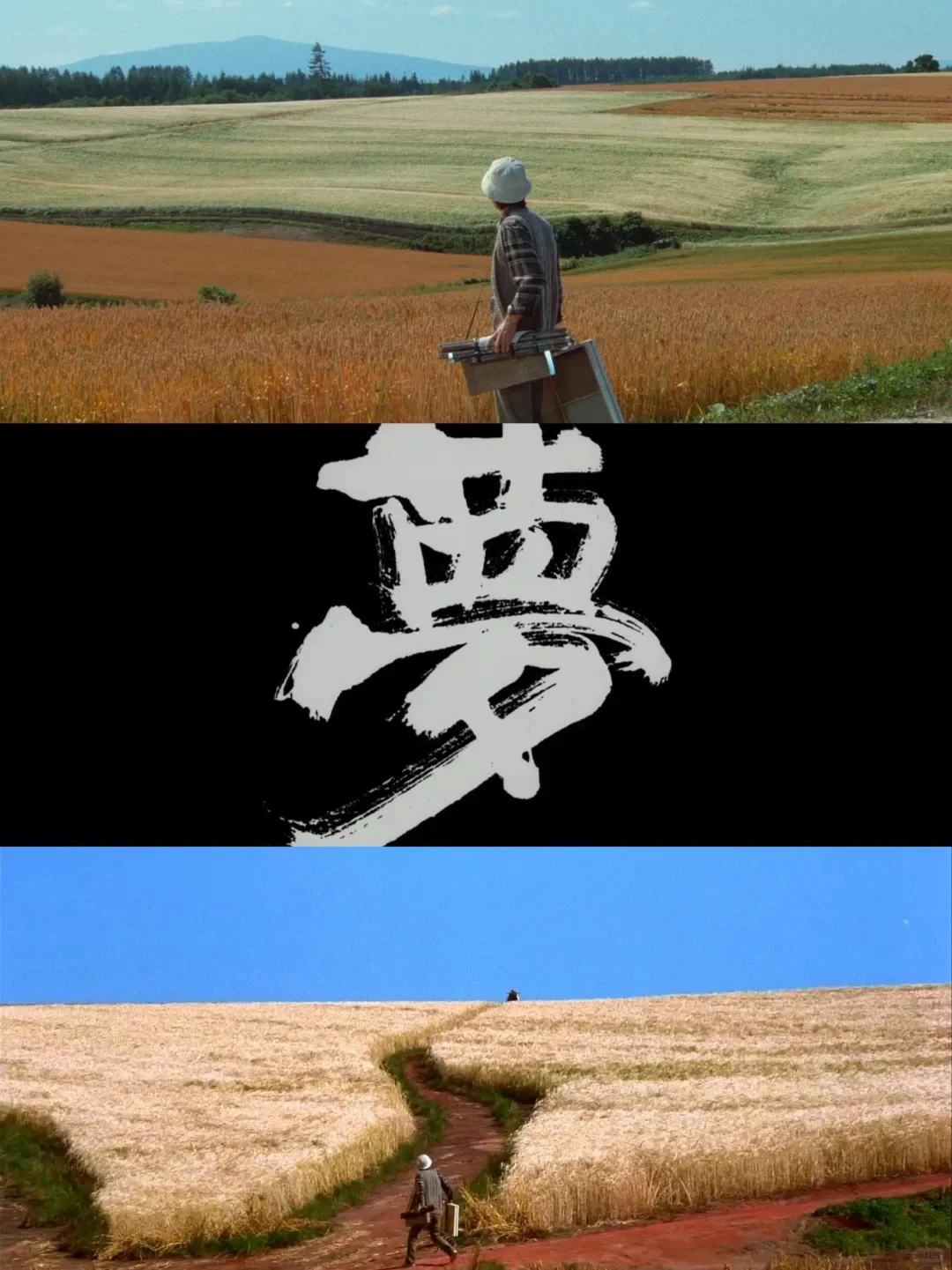 《梦》|我有过很多梦，大概就是这样的