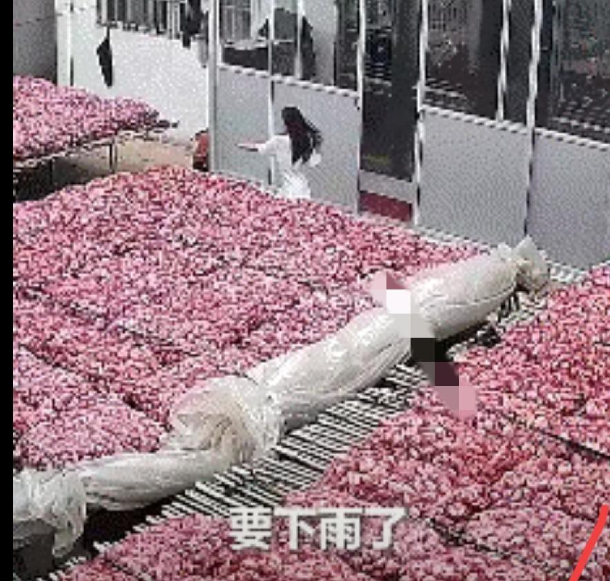 火上人民日报！江苏两个孩子的暖心一幕，治愈了无数成年人
 
上人民日报了。
近日