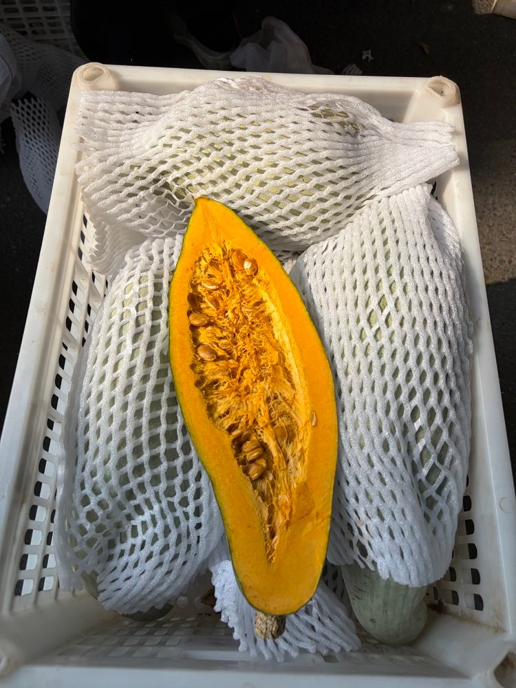 贵族南瓜是沙漠戈壁孕育出来的珍品，先天条件碾压普通南瓜，天山雪水灌溉，每天日照长