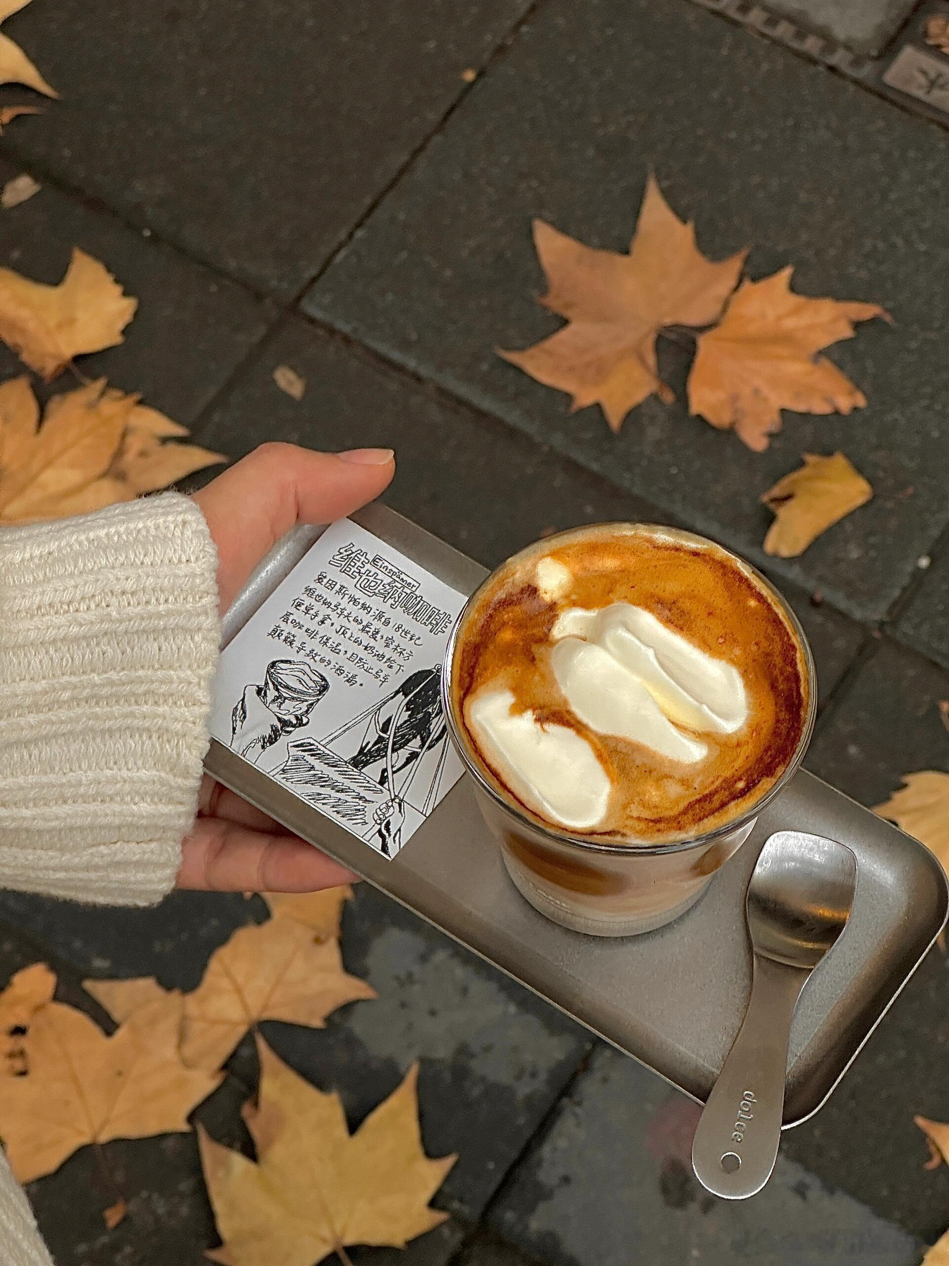 上海的秋日氛围感🍂喝一杯维也纳咖啡☕️顺便捡个秋🍁 魔都生活手记我的美食日记