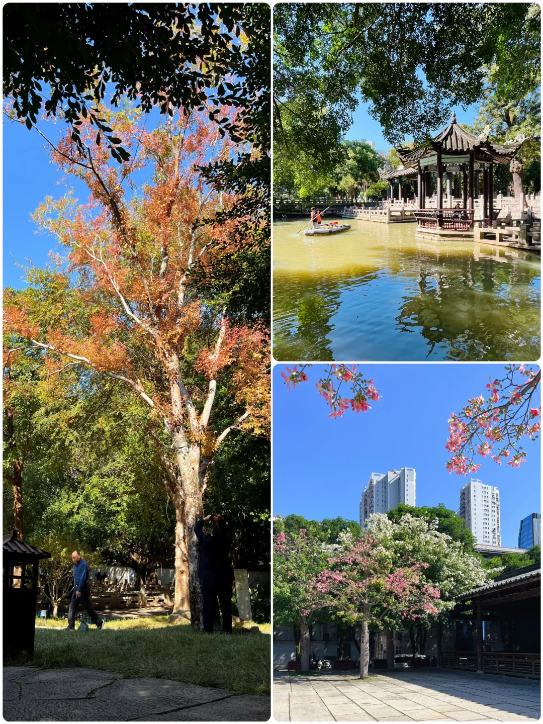 冶山春秋园｜一座同时拥有春夏秋三季的园子