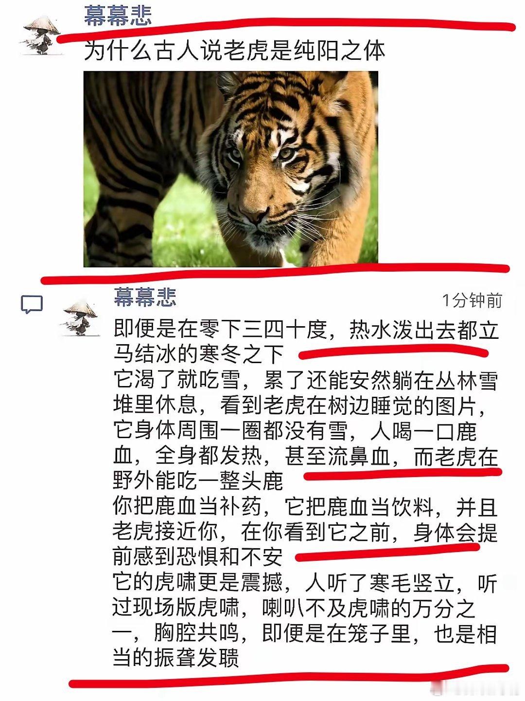 为什么，古人会说老虎是纯阳之体？[并不简单] 
