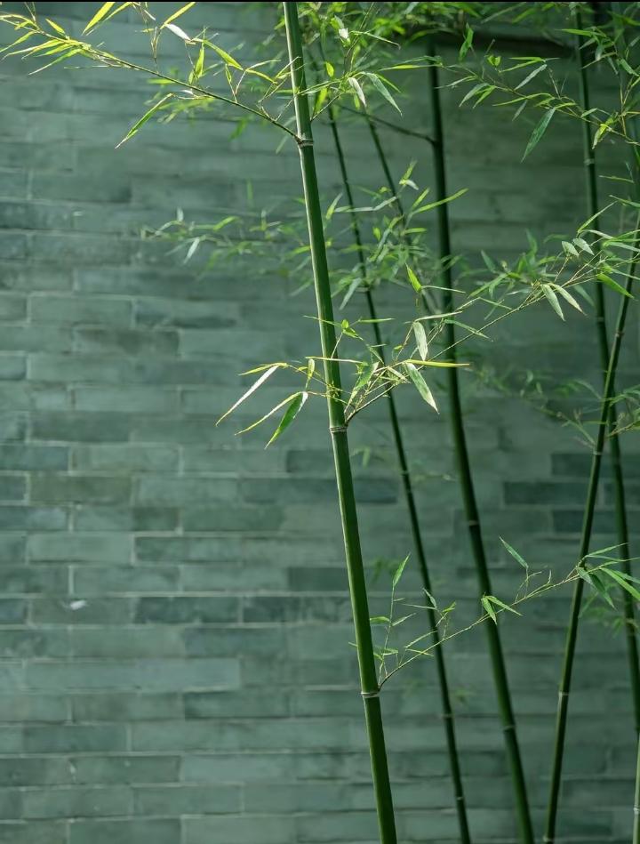 一位社会学家一针见血地说：“在中国，只有经商从政的家庭，才能真正洞悉这个社会运转