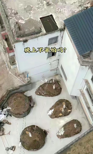 不得不说，一个敢建，一个敢住 
