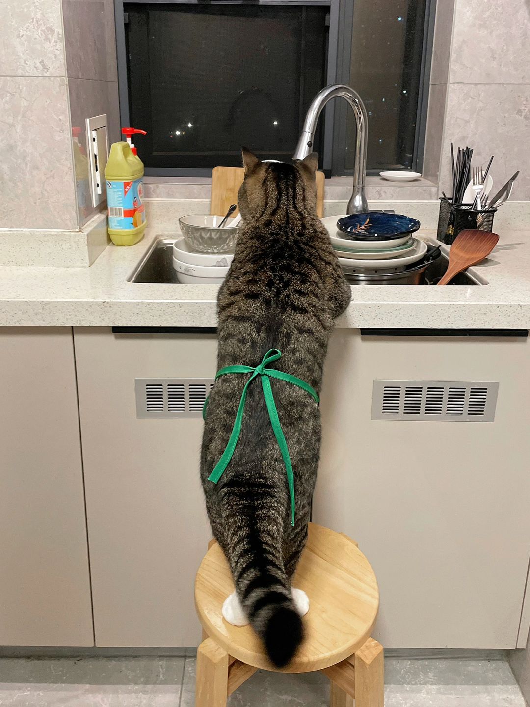 我妈问我养猫到底有啥用？