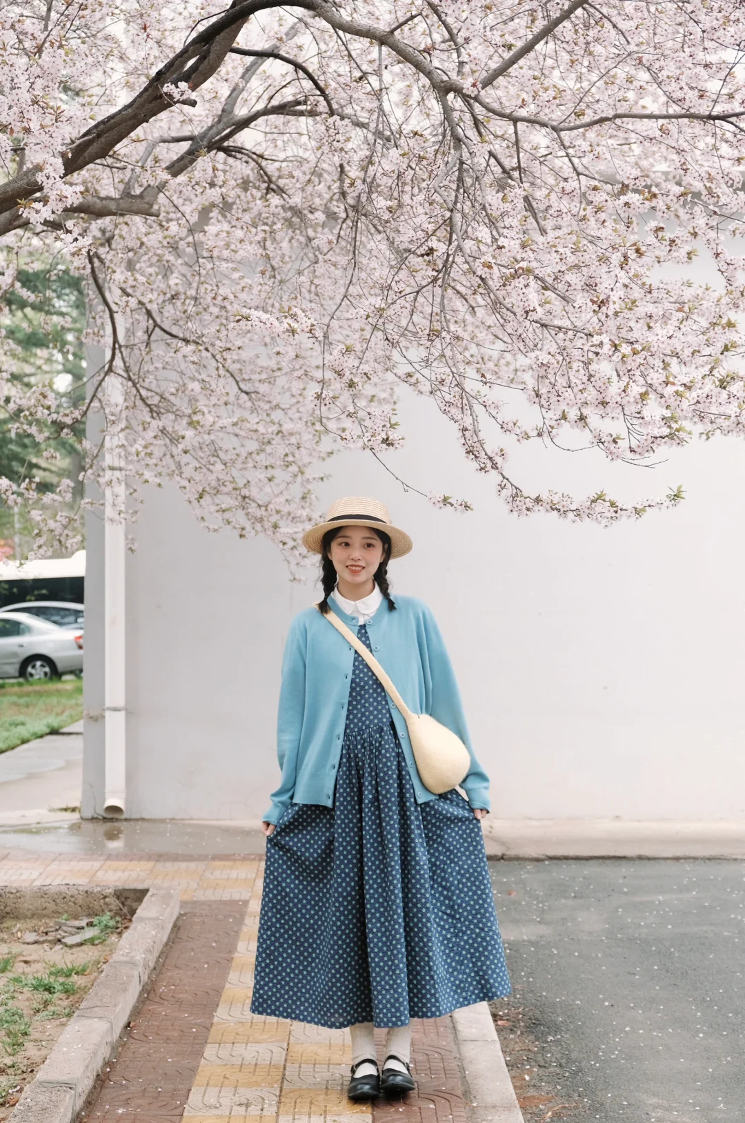 樱花季的尾巴🌸