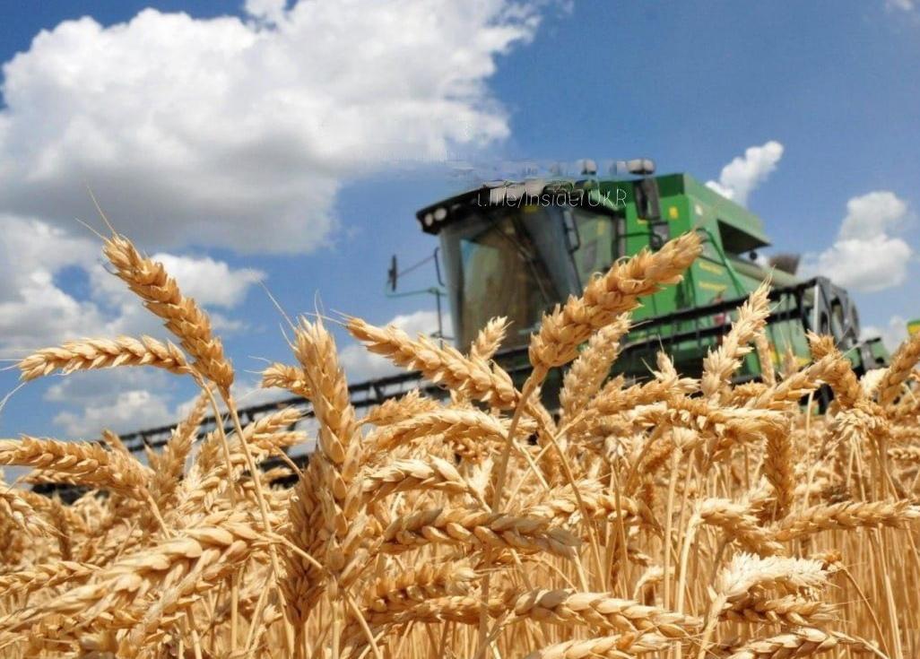 乌克兰将向非洲"热点地区"供应食品。
乌克兰在加纳开设了首个农业中心，并计划向苏