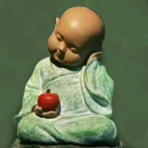 沙漠骆驼不吃草