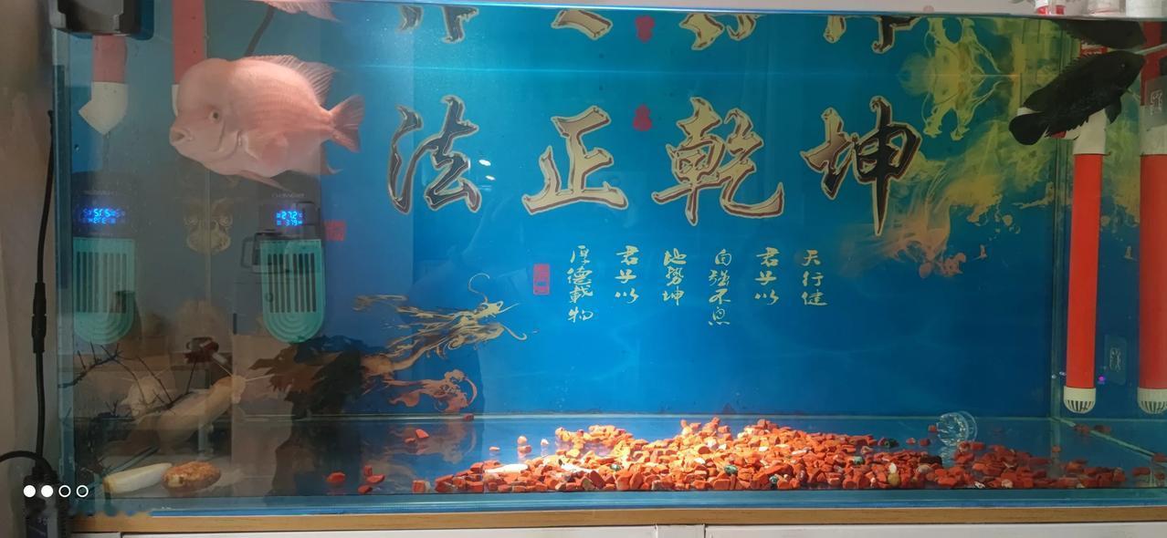 实习律师第146天
        与带教律师通力协作，完成案件调解。
    