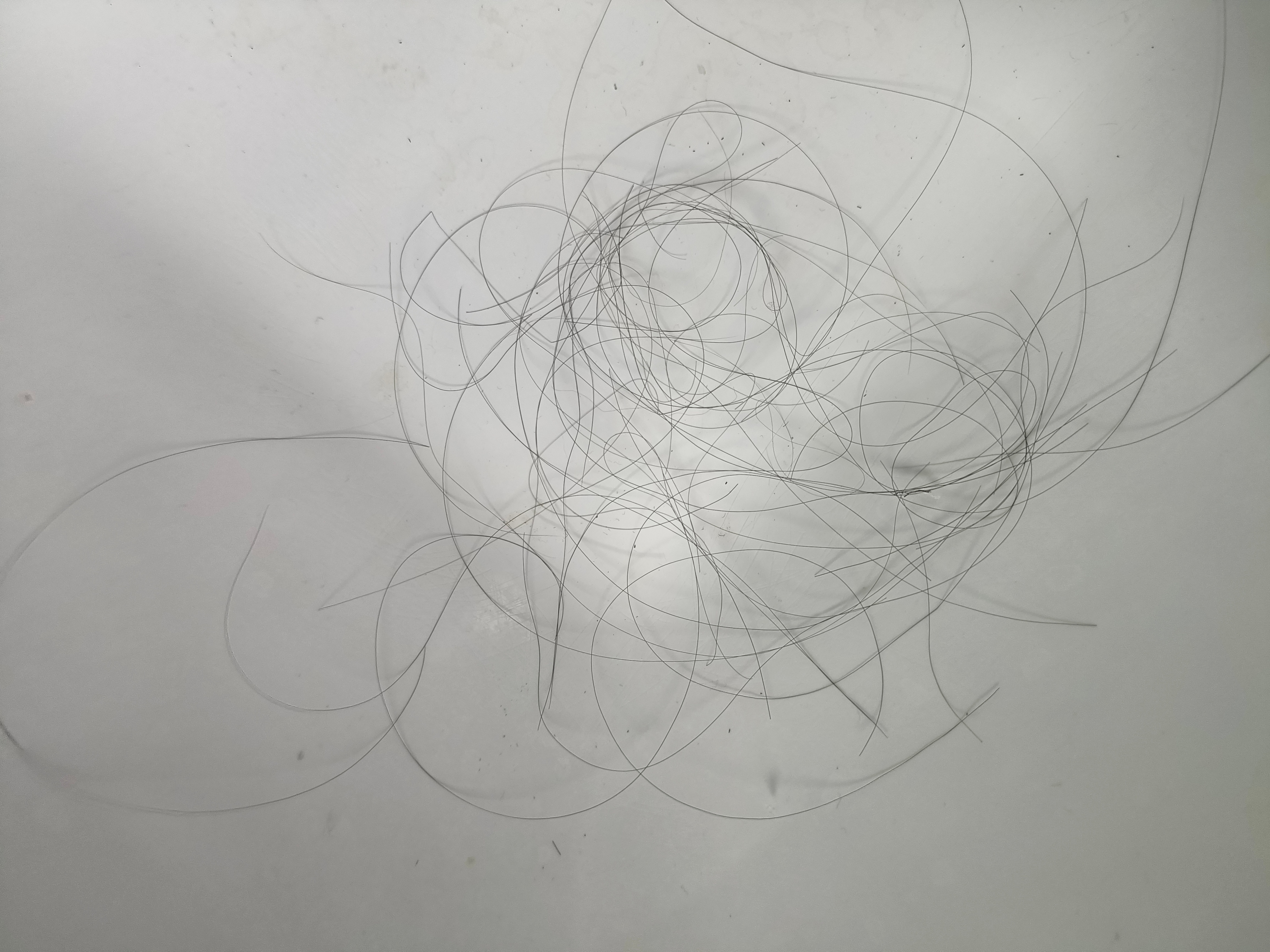 啊啊啊啊啊啊啊啊，天天这么掉，能掉几天就掉没了，咋整啊 