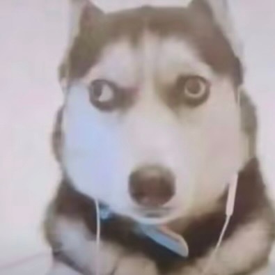 法嘉就这样