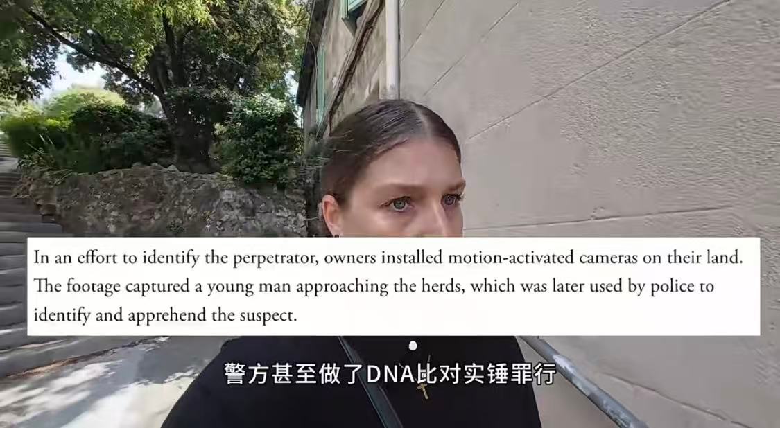 看看最近法国 