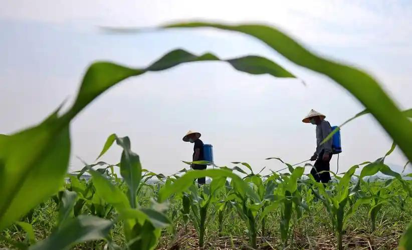 ＃励志小短句＃
      每份耕耘，都在默默积蓄力量，那些披星戴月走过的路途，