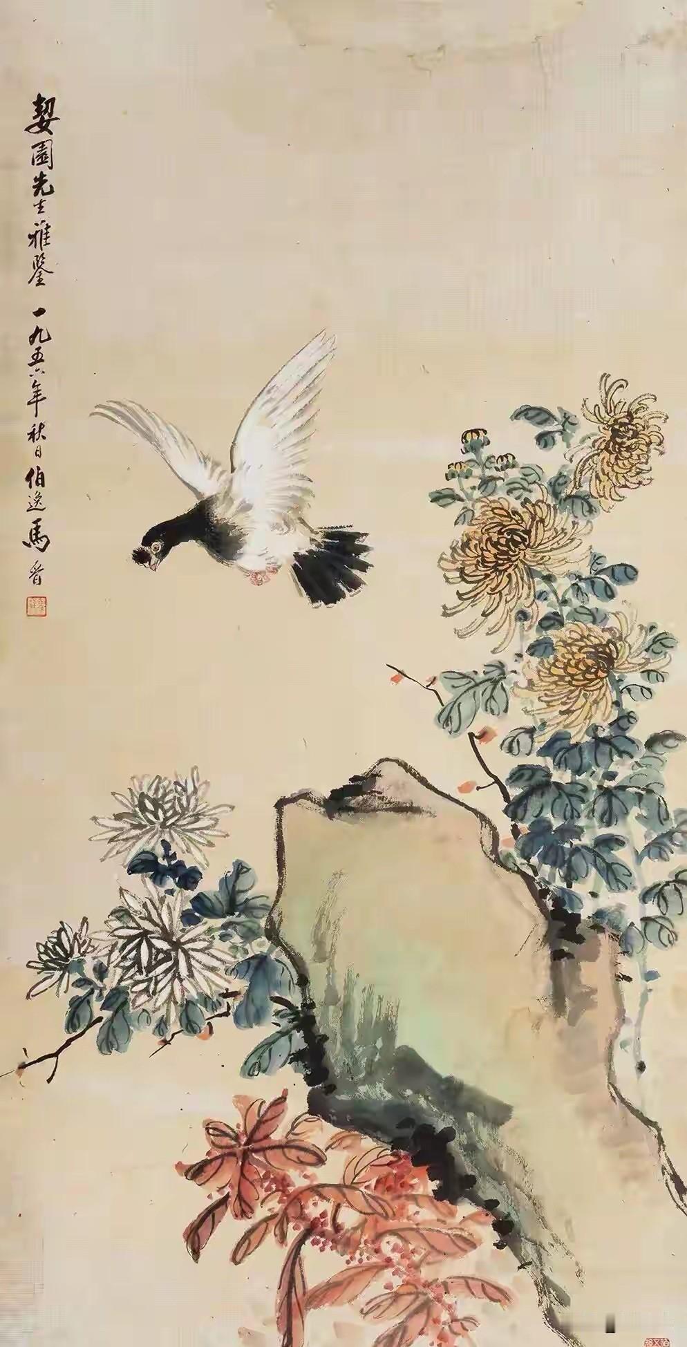 作者加速成长计划想当年，陶渊明篱下采菊，“采菊东篱下，悠然见南山”。菊，正是这般