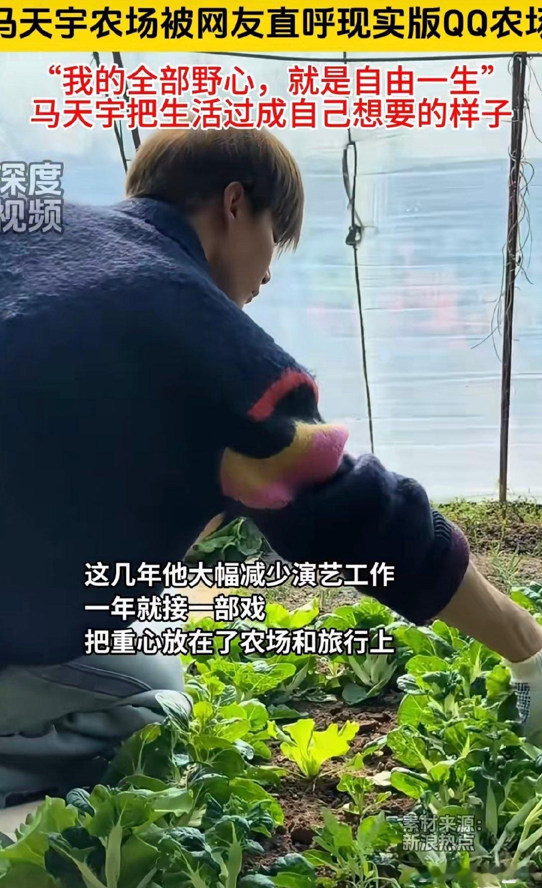 马天宇因假鸡蛋开启农场生活太绝了 谁懂啊！看着他在田里挥汗，和鸡群唠嗑，突然觉得