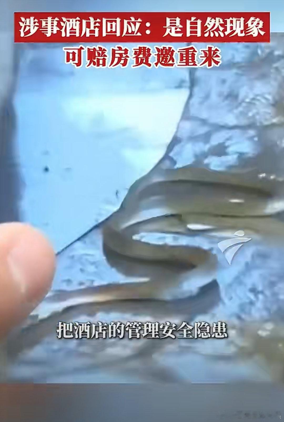 父亲回应儿子泡温泉遇蛇吓出应激创伤温泉度假本是放松之旅，安全才是消费底线。提醒各