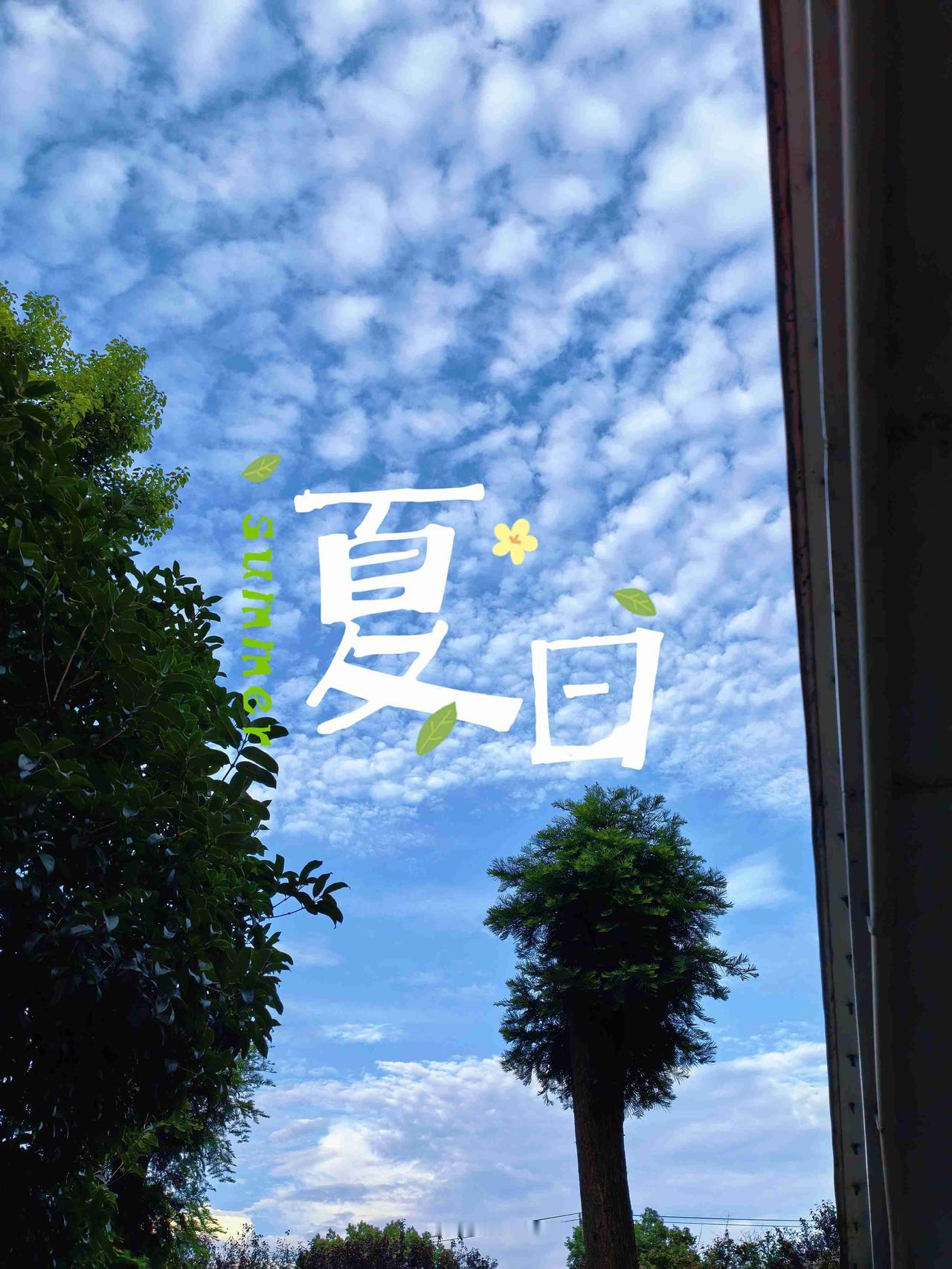 抬头看天，
把坏情绪都交给风。

带定位晒今日生活
我的今日状态：😁轻松愉快