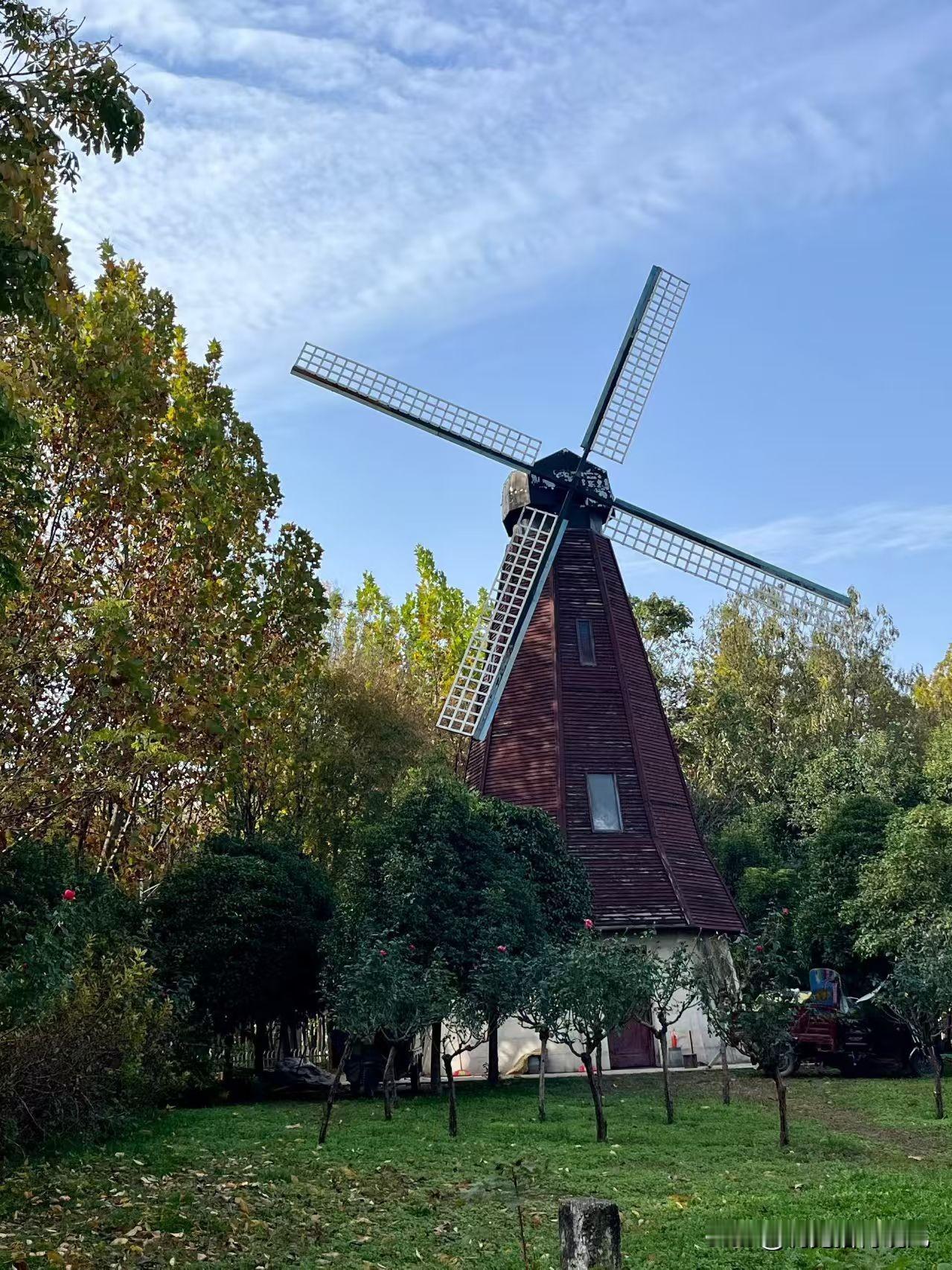 你看这风车，是不是特像荷兰那味儿？藏在树堆里还挺有感觉，红棕色的塔身配那大格子扇