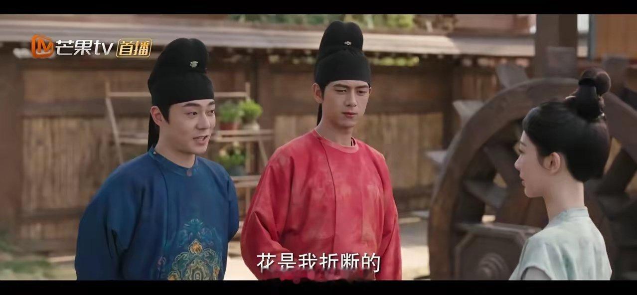 国色芳华：何惟芳泼天的富贵来了，她原本要种植的火耀金丹被蒋长杨芳朋友砸中了花枝，