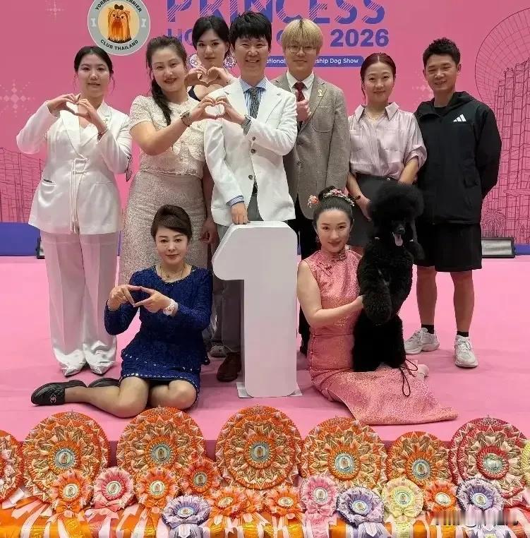 霍思燕隐退我不奇怪
她和杜江认识因为狗，我也不奇怪
我震感的是她聪明，她转型的赛