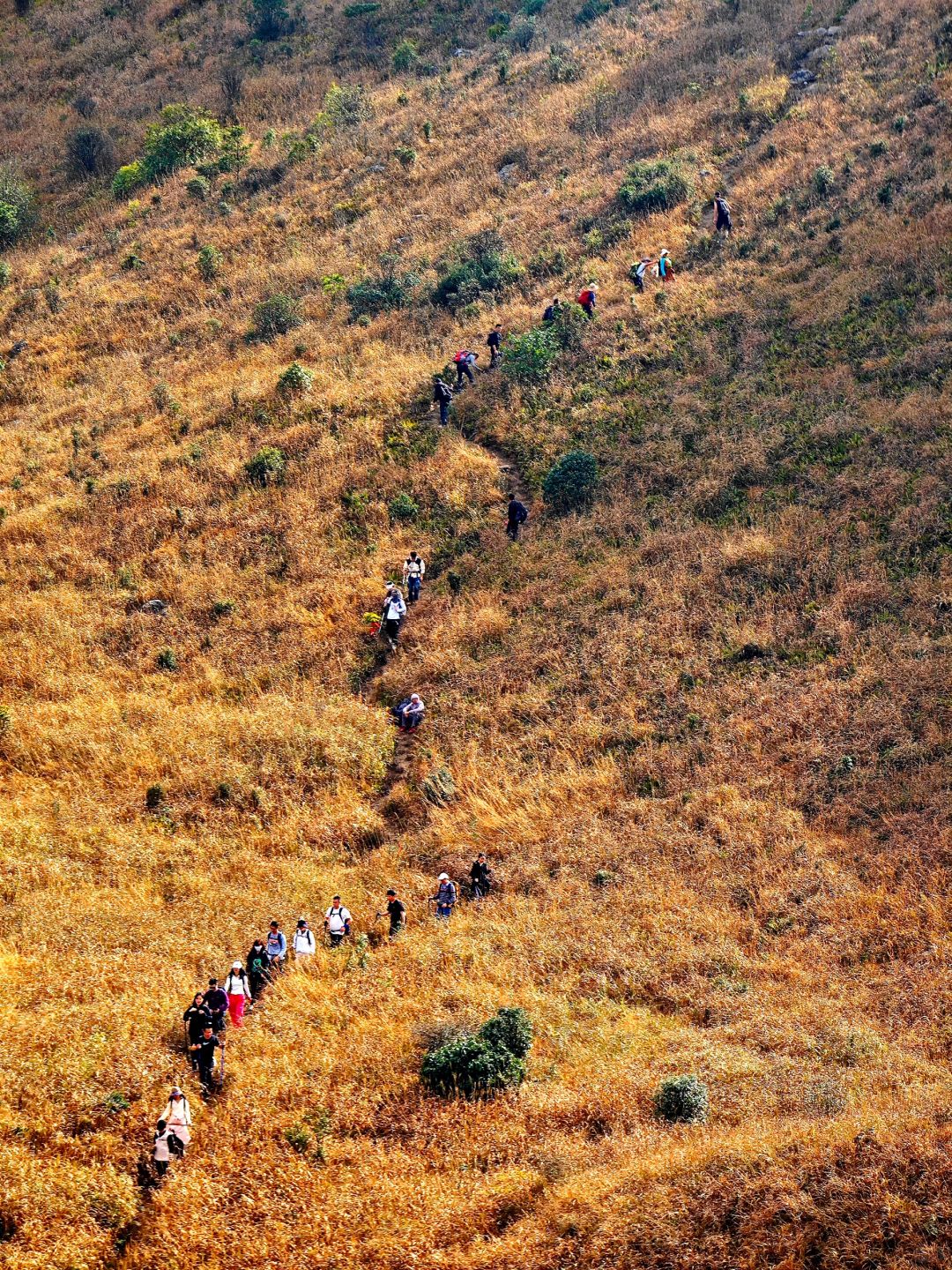 徒步福建7｜福建版武功山 龙岩黄连盂 徒步