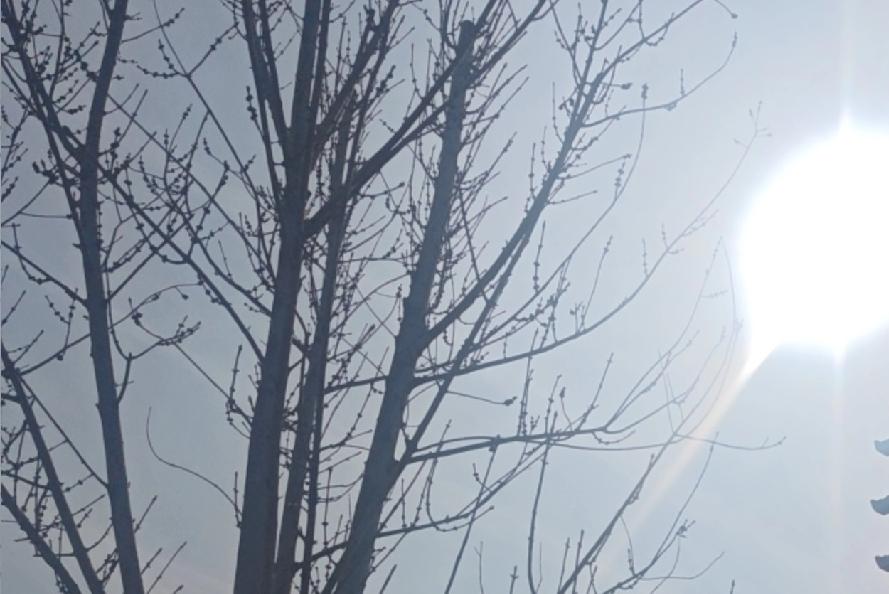 上联：思江南雨巷，诚邀下联想漠北夕阳