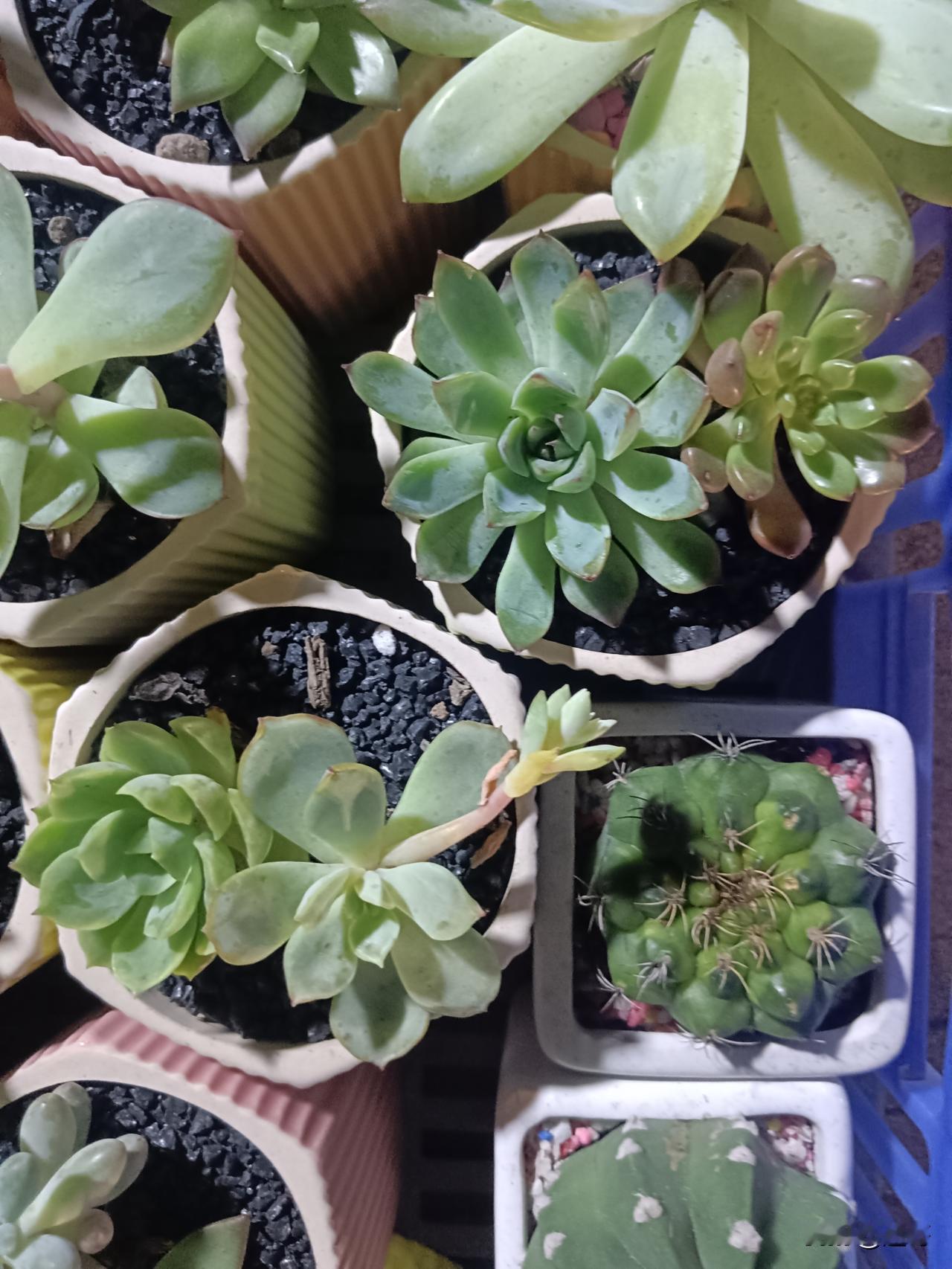 湖南人并非自诩最聪明，而是依托岳麓书院千年文脉熏陶，有着敢为人先的思辨格局。
