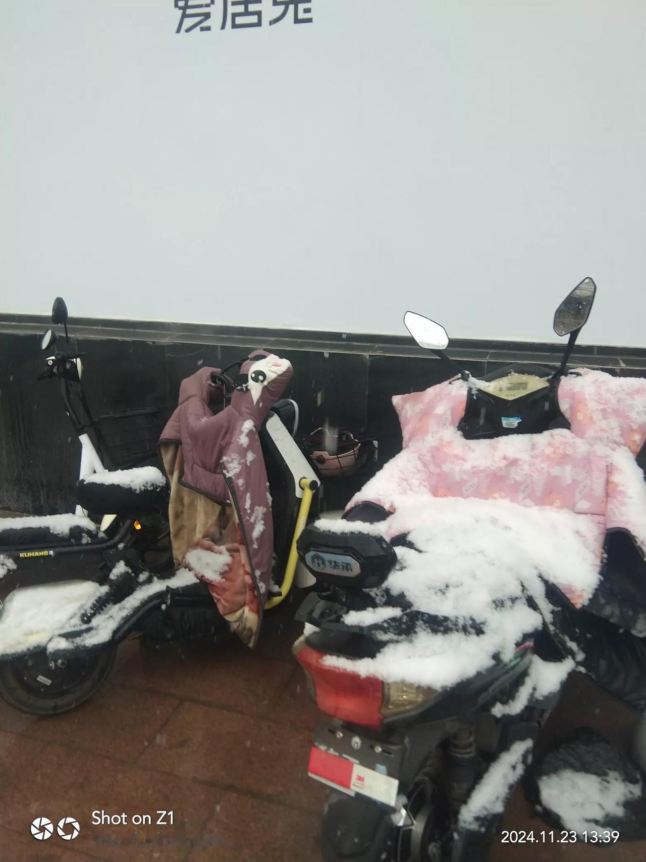 分享一张你最近随手拍的照片吧