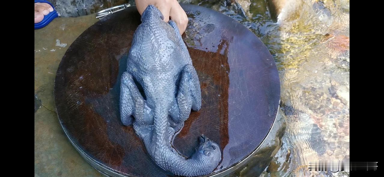 乌鸡这样吃才过瘾，一只不够吃