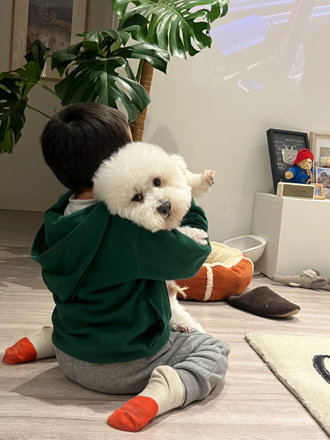 还是不建议狗狗带娃，废狗
