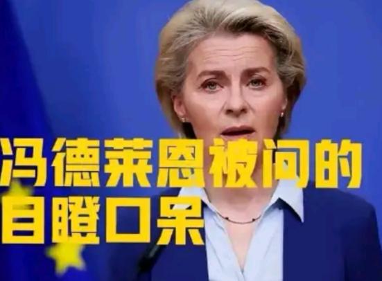 12月欧盟会议，冯德莱恩刚宣布“永久停购俄油气”，芬兰代表突然问：“若特朗普对委