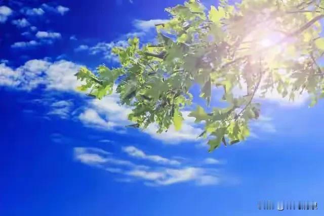 在自己家生活久了，感觉回到老妈家，哪里都不适应。也待不住，三四个小时度日如年，只