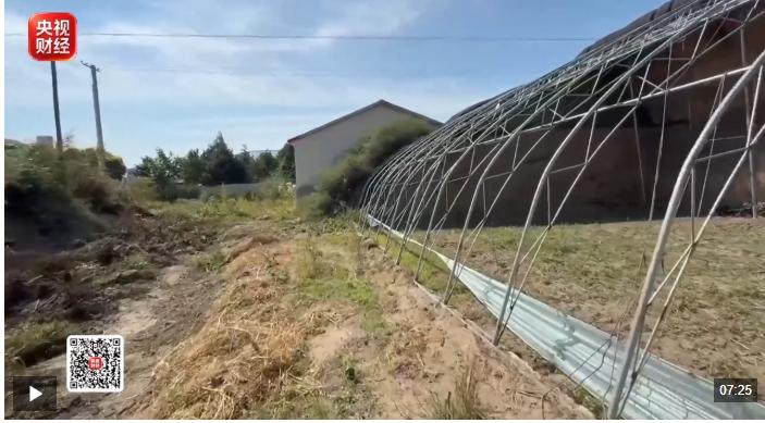 央视曝内蒙1.2亿农业项目烂尾：承建空壳公司注册才9天，动工一年半仅搭5个棚，三