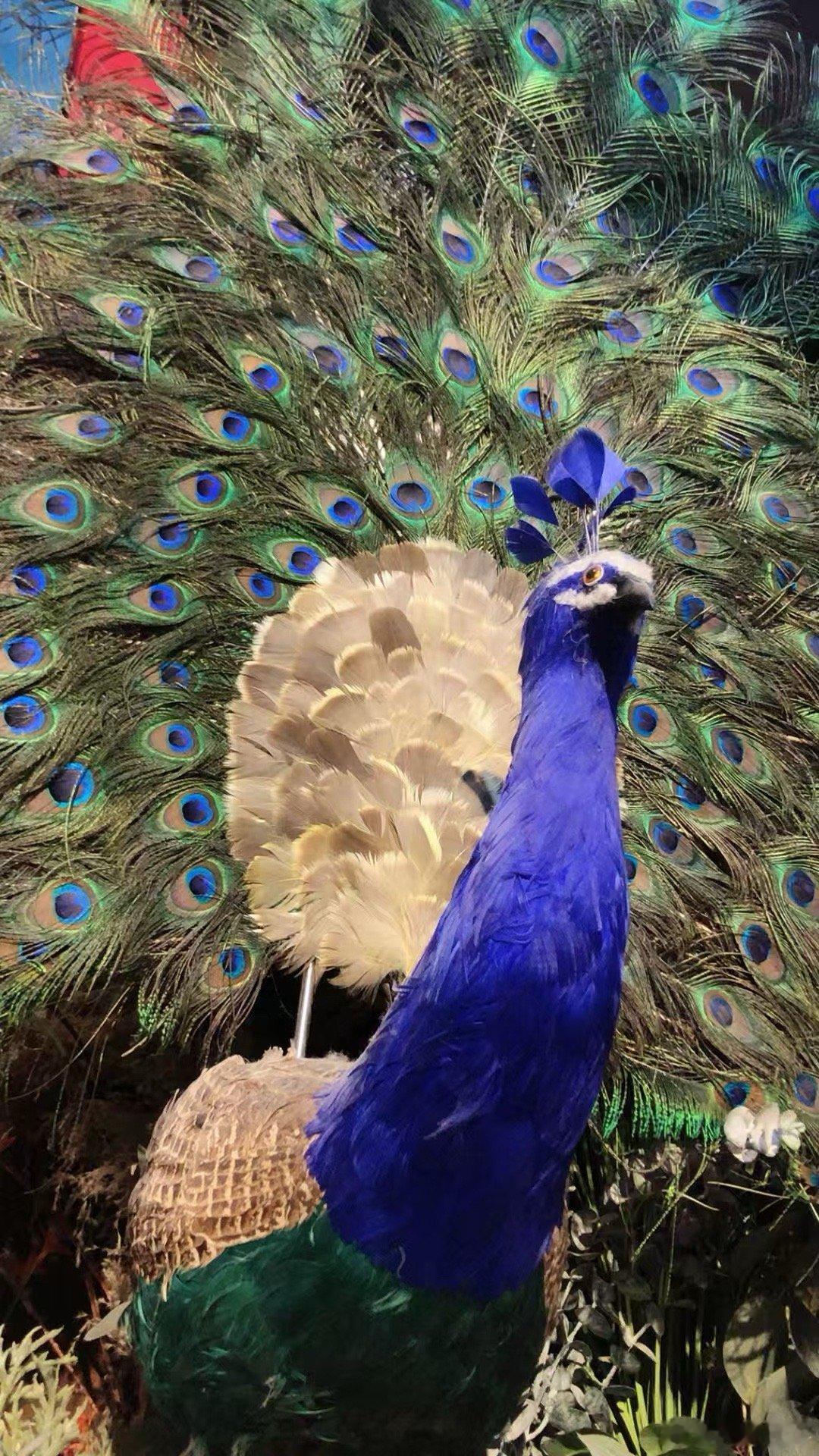 美联储启动“准备金管理购买（RMP）”，虽不是QE，也不是2020年的无限量QE