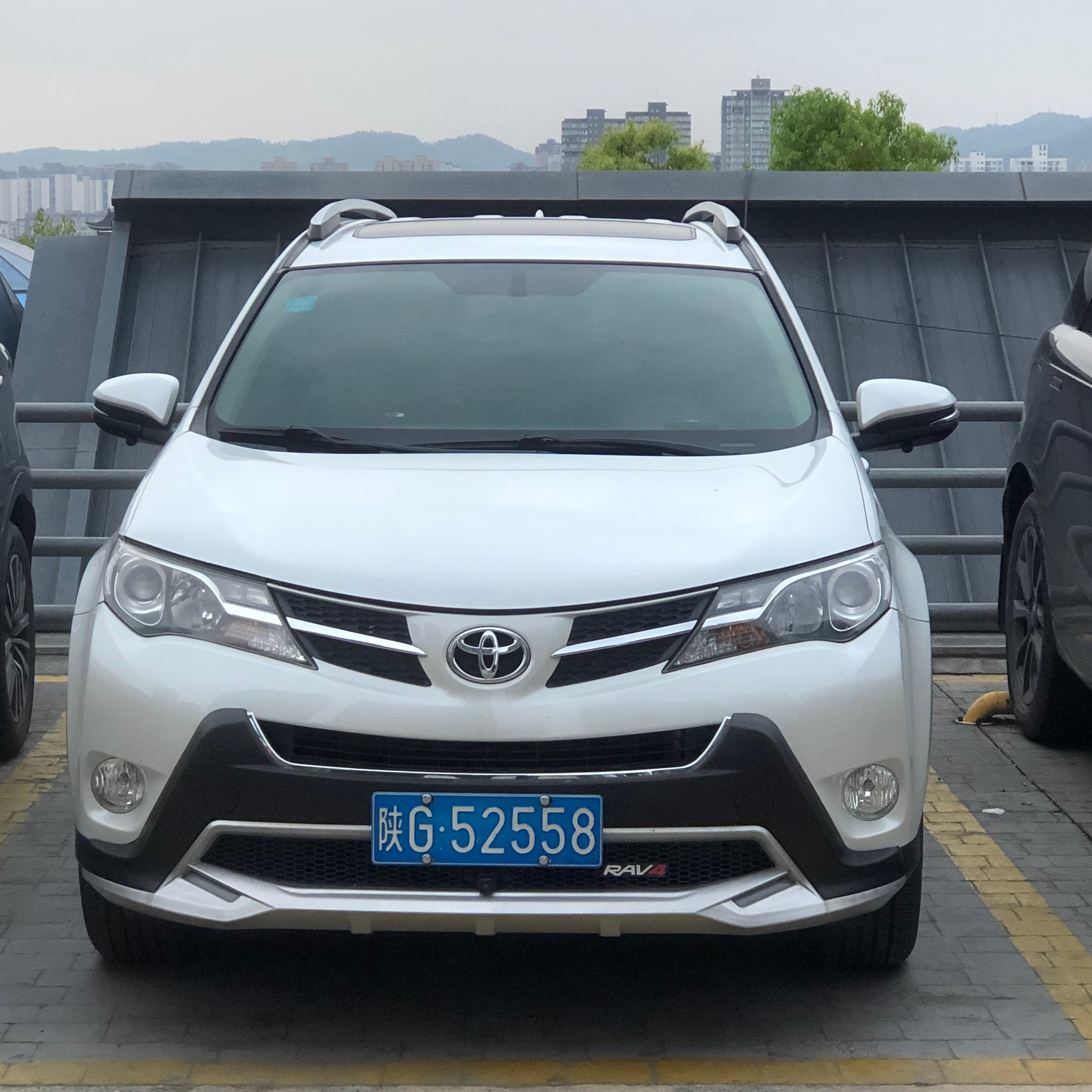 全球车牌 陕G52588丰田rav4 安康