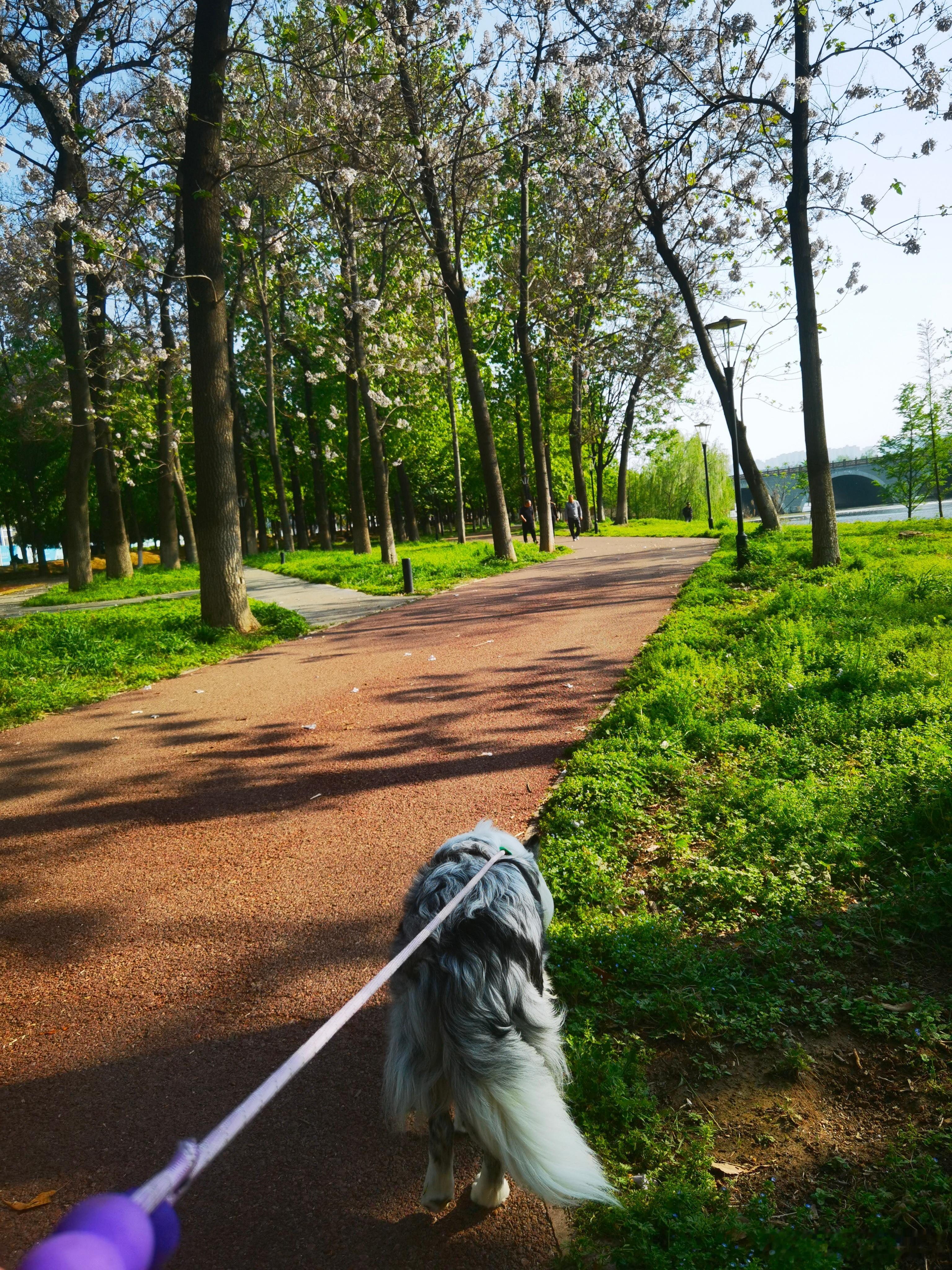 感觉哪哪都在涨价提价，主要是出海方向，原材料涨价转导，估计也会传导到股市估值。 