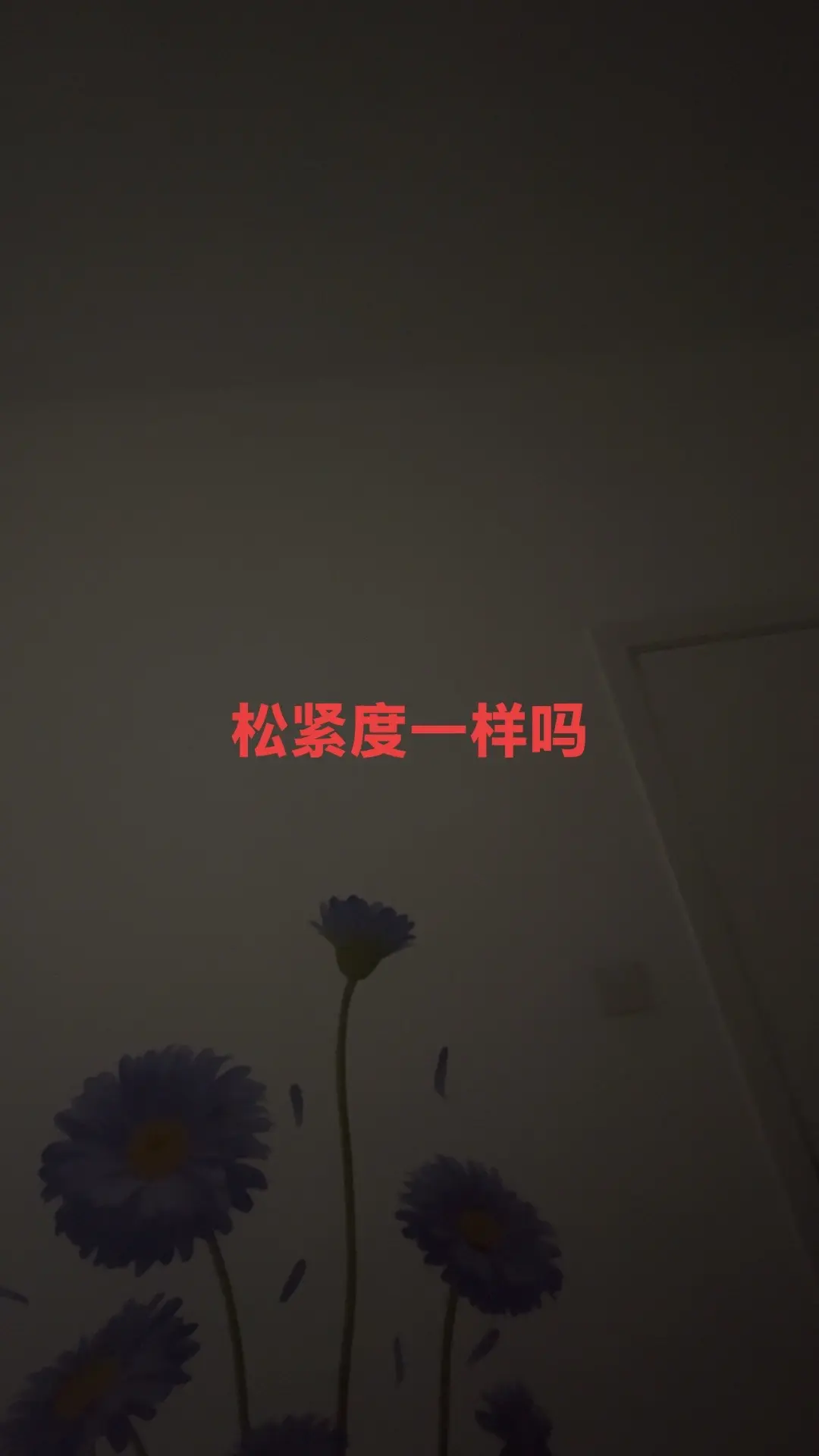深夜吐槽大会